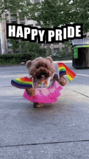 My gif